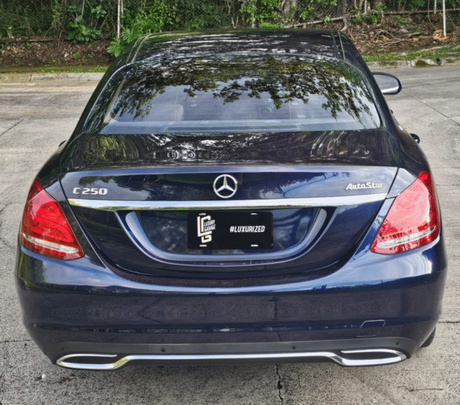 C 250 2017 (5)