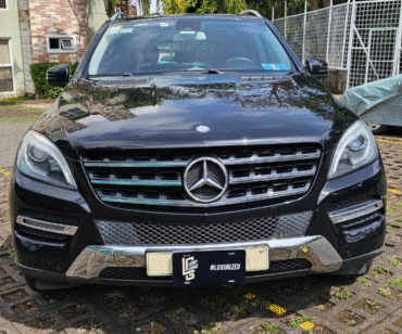 Mercedes ML350 (3)