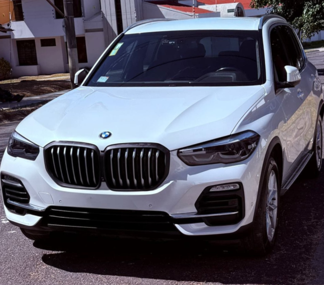 BMW X5 Xdrive 30d 2019 (2)