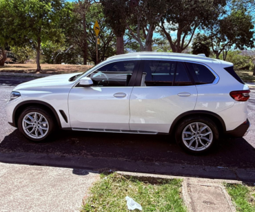 BMW X5 Xdrive 30d 2019 (6)