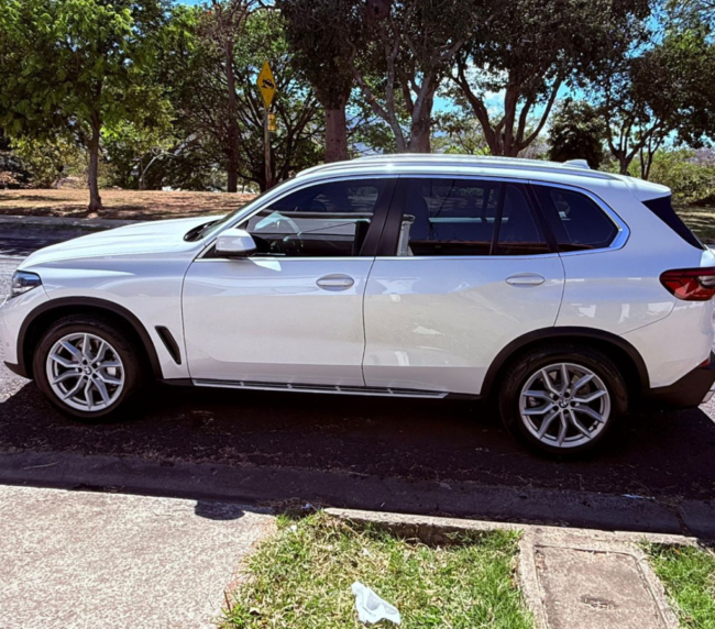 BMW X5 Xdrive 30d 2019 (6)