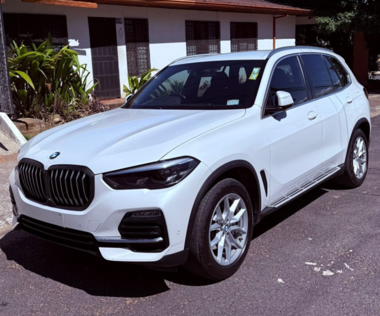 BMW X5 Xdrive 30d 2019