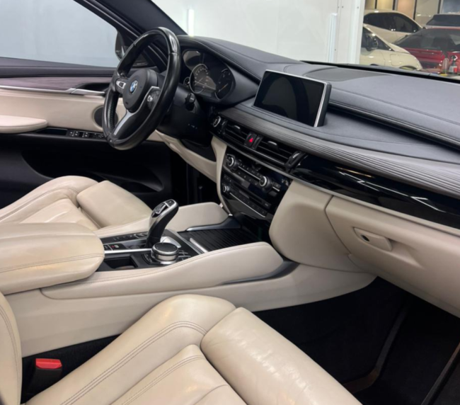 BMW X6 2019 (6)