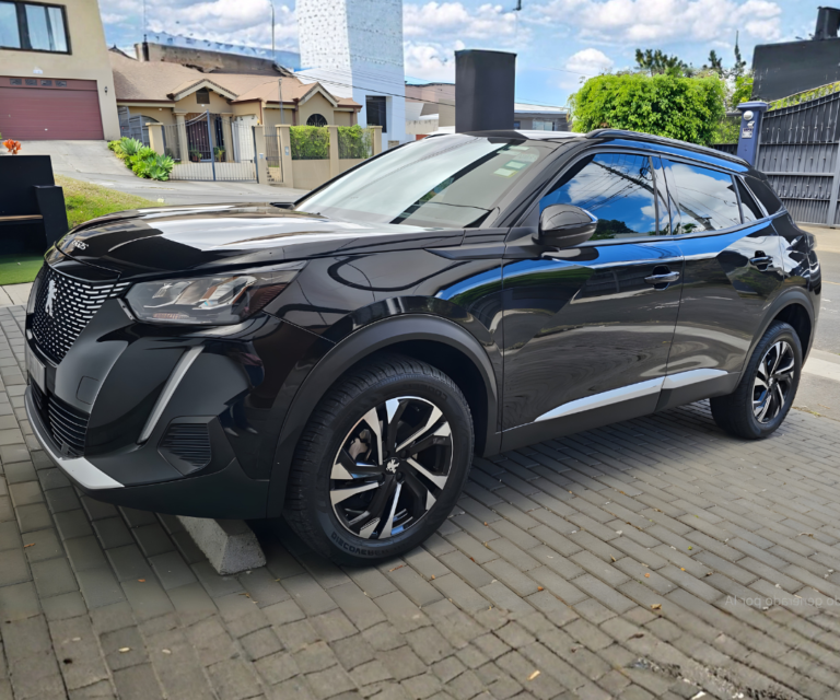 Peugeot 2008 2023 (1)